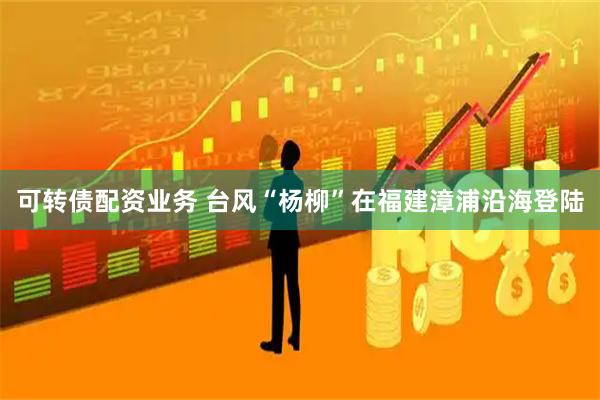 可转债配资业务 台风“杨柳”在福建漳浦沿海登陆